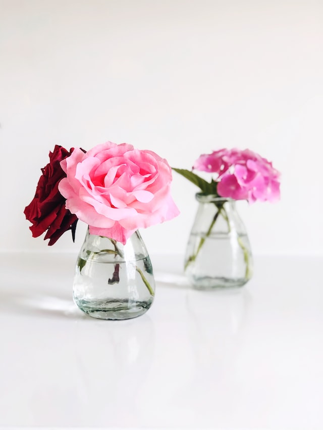 roses of different colors in vase